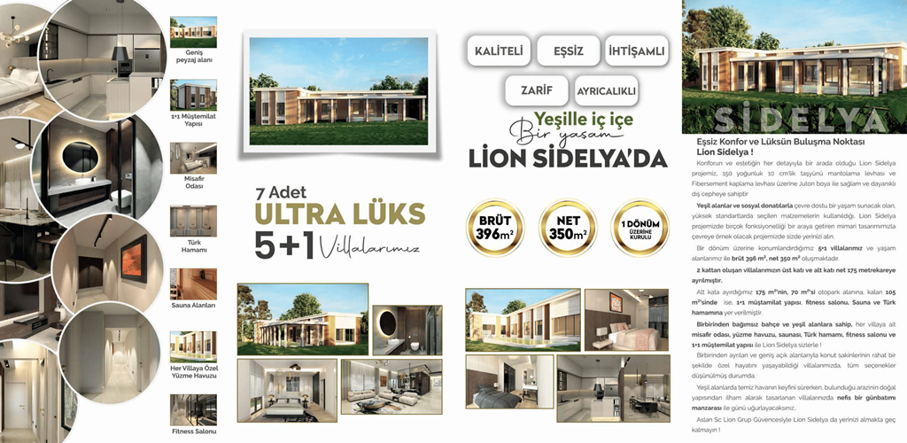 sidelya copy-2